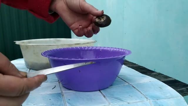 КАК ЗАГОТОВИТЬ ГРИБЫ ГРУЗДИ И  ВОЛНУШКИ НА ЗИМУ?