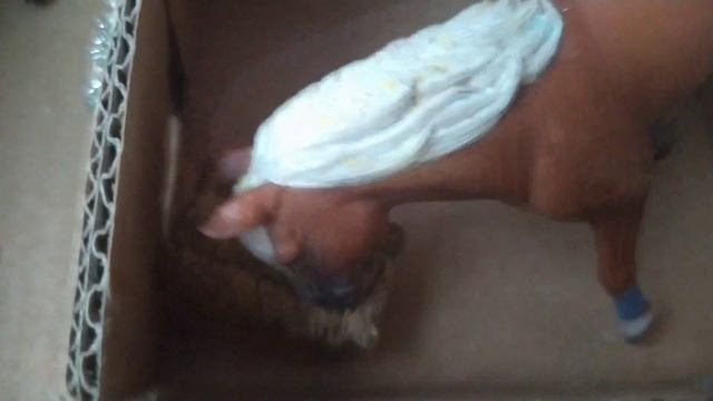 Типы лошадей Schleich!???