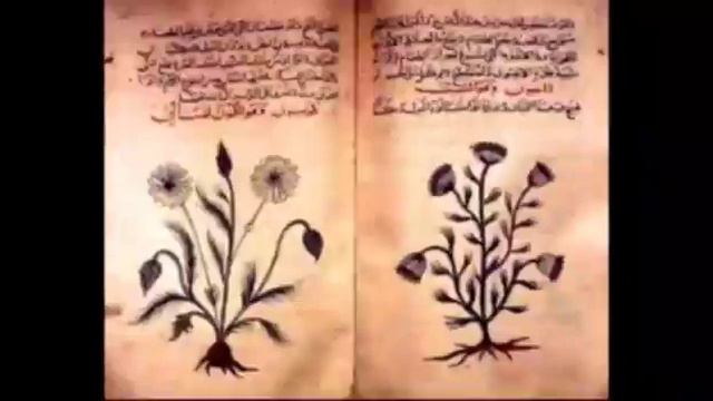 История Чечни