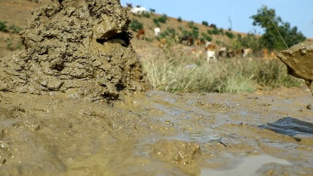Грузовик едет сквозь огонь и грузит грязь