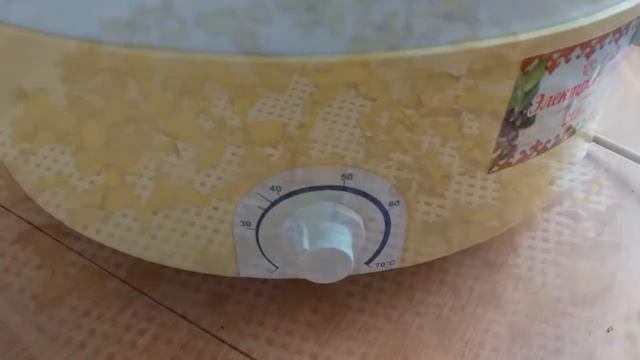 Сушим лисички