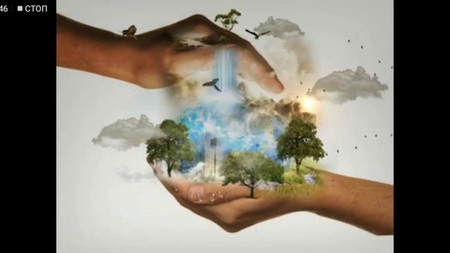 Что такое экология.