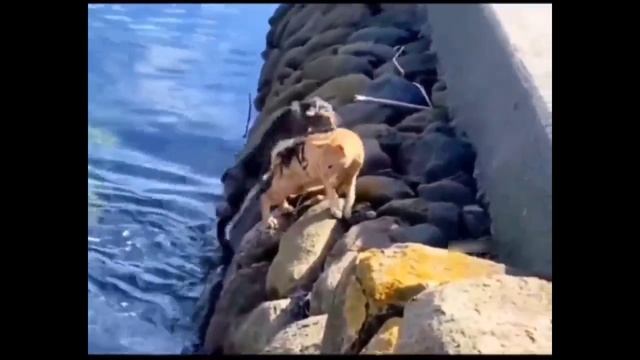 Ситуация вышла из под контроля