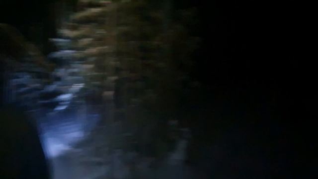 ЗАБЛУДИЛИСЬ В ЛЕСУ/ОНО НАПАЛО НА НАС/LOST IN THE FOREST/IT ATTACKED US