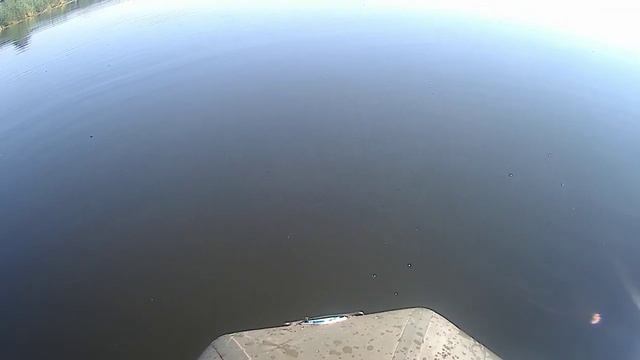 небольшой улов на перемет.mp4