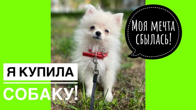 МОЯ МЕЧТА СБЫЛАСЬ ➖ КУПИЛА СОБАКУ❗️