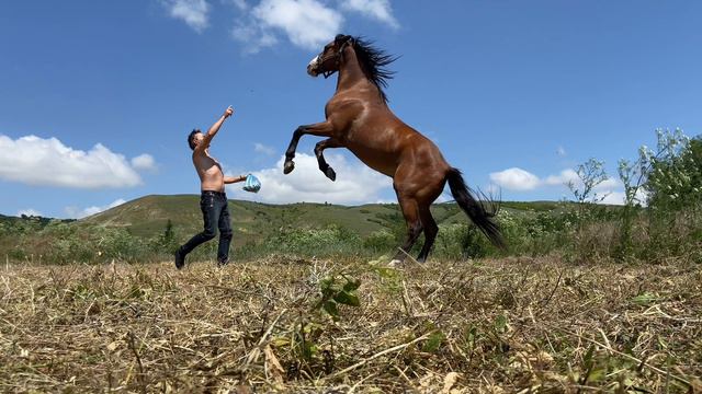 Тренировка с Магнумом