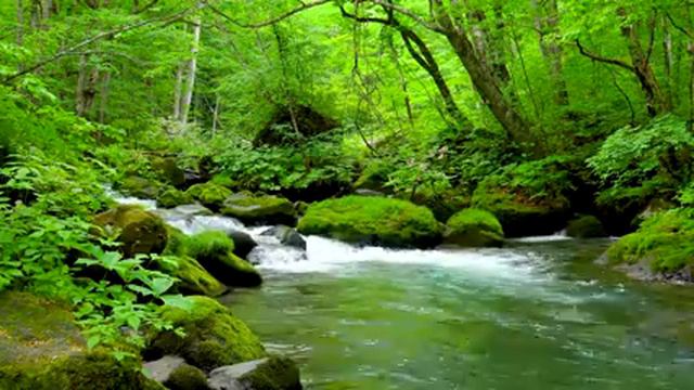 Mountain Stream in Green Forest. Nature Sounds, Flowing River Stream, White Noise 10 hours to Sleep