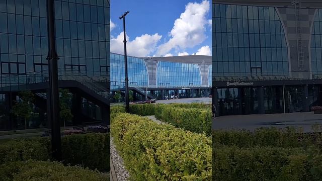 VID_75050225_012721_440.mp4