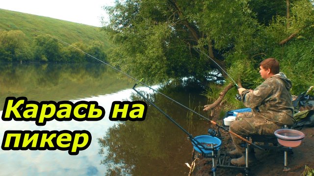 Ловля карася на пикер и фидер. Рыбалка на реке Сосна в живописном месте