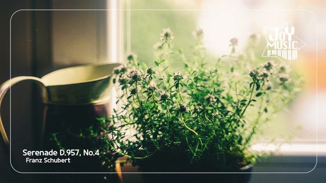 [플레이리스트]🌸봄 향기 가득한 피아노 클래식 베스트 모음🎹힐링, 독서, 쉼, 공부, 감상📚