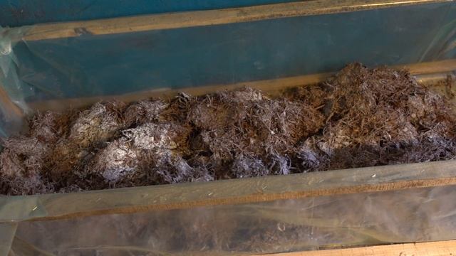 ВЫРАЩИВАНИЕ ШАМПИНЬОНОВ В ДОМАШНИХ УСЛОВИЯХ (ЧАСТЬ 1 ГОТОВИМ ПРАВИЛЬНЫЙ КОМПОСТ)