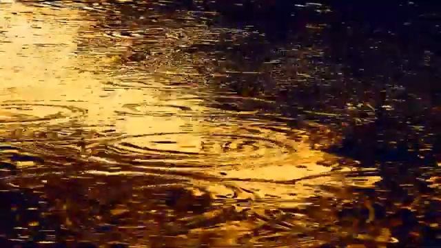 _Косолапый дождь_. Исполняет Лиза Холина (360p).mp4