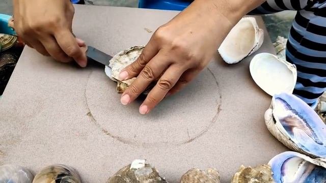 Жемчуг, пресноводный жемчуг и жемчуг морской воды. 30-летняя раковина