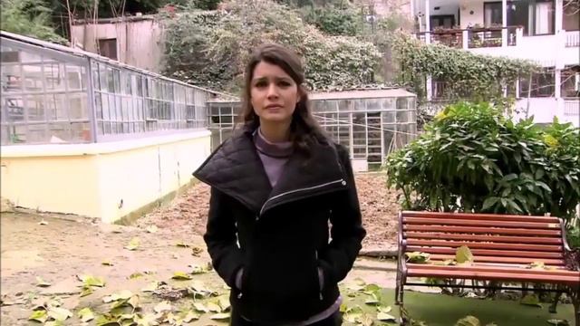 ТАКАЯ КЛАССНАЯ ПЕСНЯ! - СВОБОДНАЯ ЛЮБОВЬ - ИСП. Г. ВЕСНА
