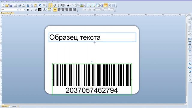 Создание шаблона этикеток для Wildberries. Печать термоэтикеток