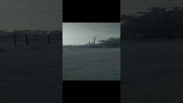 video_20240122_110016.mp4