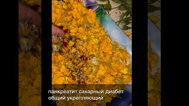 Бархатцы для людей и растений! Не выбрасывайте бархатцы! Как я использую бархатцы их польза и вред