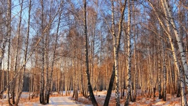 Музыкальное поздравление Новогодний дуэт