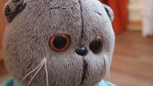 Разговорное видео с котом Басиком | Басик о школе, о любви