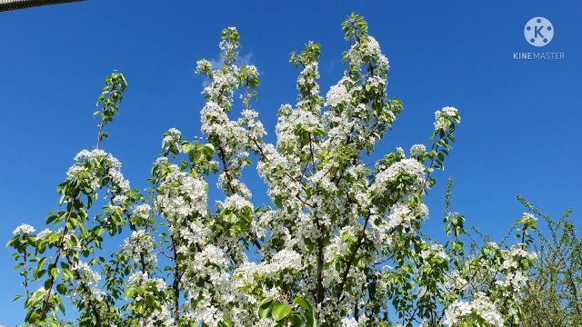 Подсказка