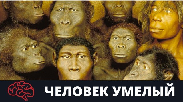 Человек умелый