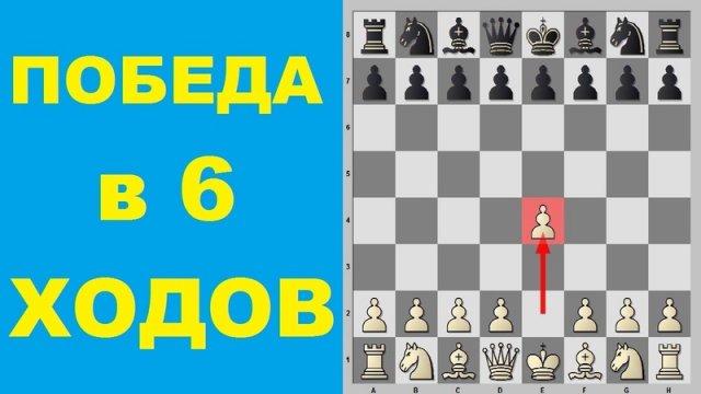 Французская защита. РАЗГРОМ в 6 ХОДОВ. Школа шахмат d4-d5.