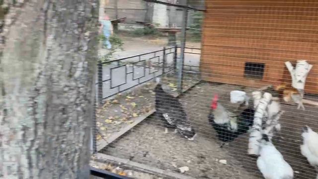 Городской Парк