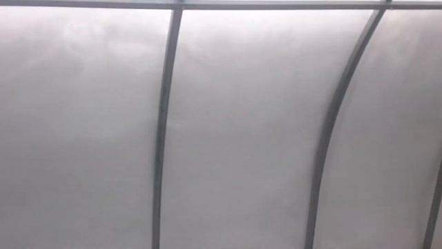 Что происходит в теплице зимой. Как зимует клубника в теплице.