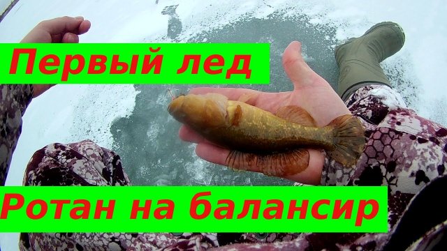 Рыбалка на ротана с балансиром . Первый лед 2021-2022 гг...mp4