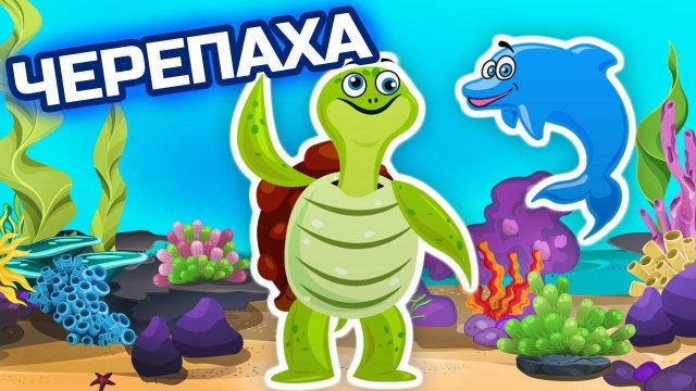 Язык какого животного понимает морская черепаха - Морские обитатели - Животные для детей