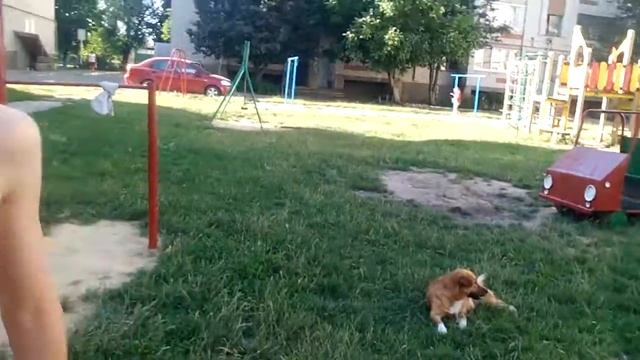 жесть спарта