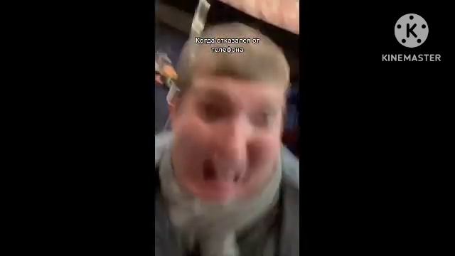 сборник вайнов от reality_milk
