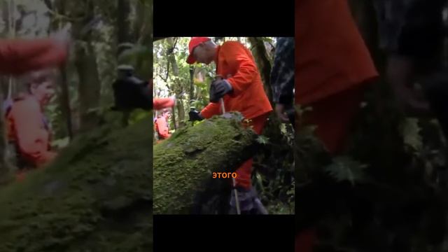 Самое загадочное исчезновение в истории