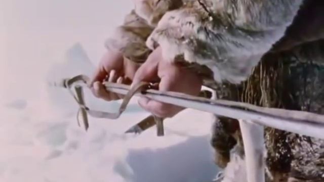 Охота на тюленя подольдом.Север.Это надо видеть!
