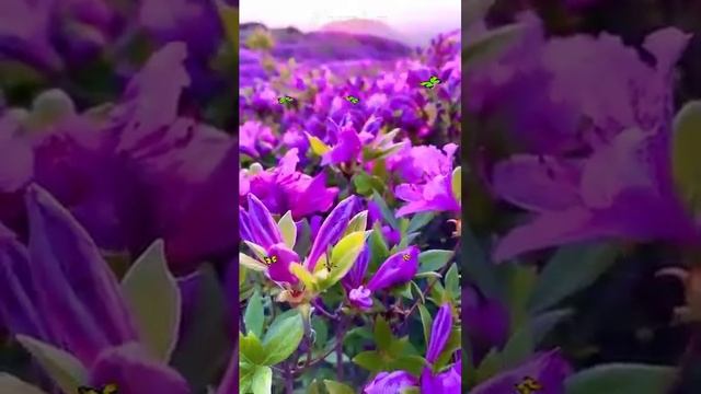 Открытка Поздравление на День Рождения