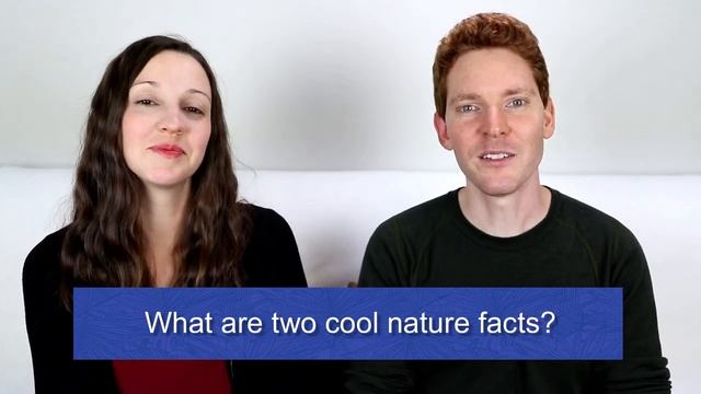 1.5 HOUR English Conversation Lesson.mp4