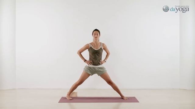 Айенгар-йога. Курс для начинающих. 