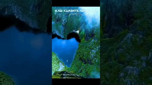 Наш удивительный мир