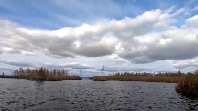Охота на утку продолжается... 2020
