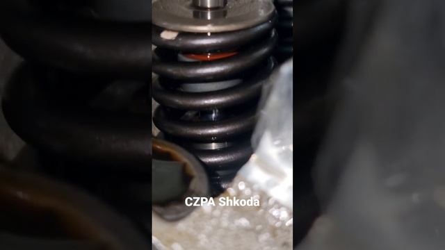dr.autodiagnost CZPA Shkoda 2018 подъём мск в гбц. Жор масла