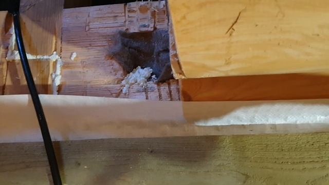 Пароизоляция полов  в деревянном доме