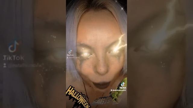 fly