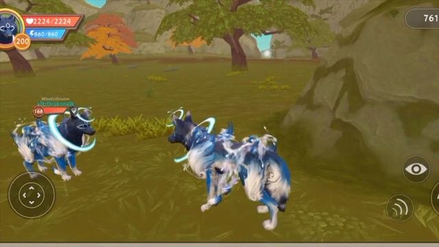 Типы игроков в WildCraft