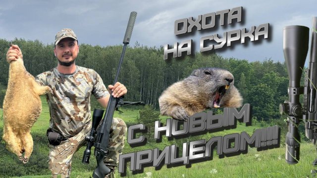 ОХОТА НА СУРКА 2024