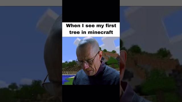 Walter white in Minecraft#Minecraft #meme #funny #shorts  #breakingbad #walterwhite