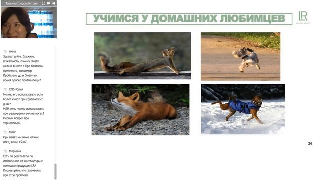 Свобода движения