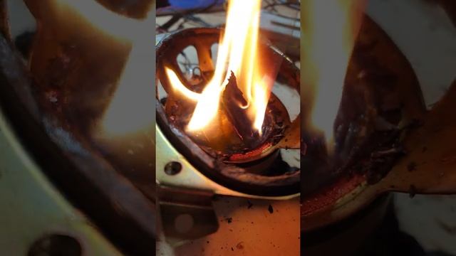 паль динамика