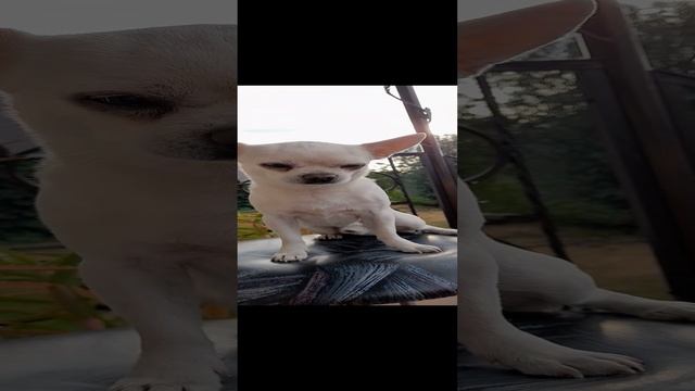 20230716_192614.mp4