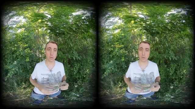 АСМР 3d VR - Выживаем в Лесу ! 180° VR ASMR